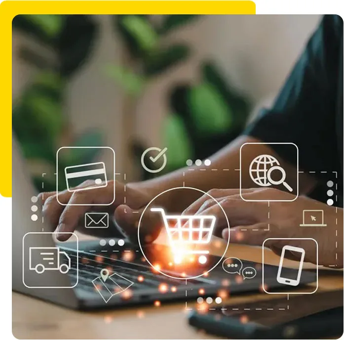 For E-commerce Management Professionals
