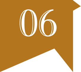 Procurement Governance and Ethics