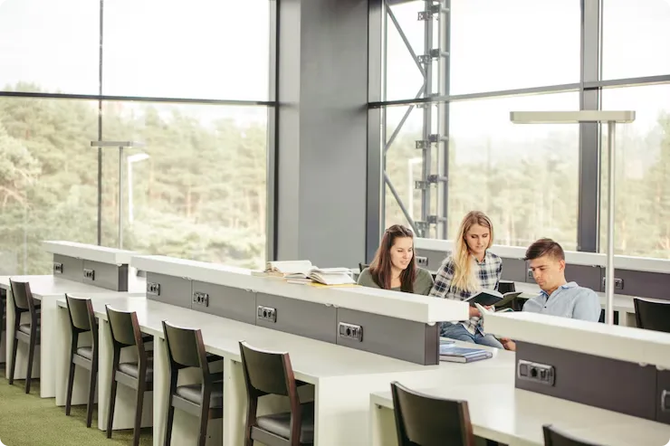 ISO and Global Standards Alignment
