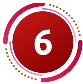 Domain 6