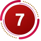 Domain 7