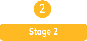 Stage 2: Assess