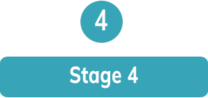 Stage 4: Govern