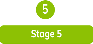 Stage 5: Pilot