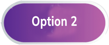 Option 2