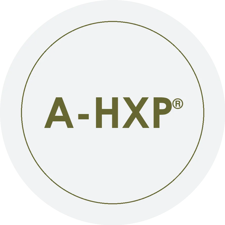 Certified AI-Powered Hospitality Experience Professional (A-HXP)®